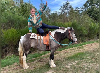 Pintos, Jument, 4 Ans, 147 cm, Pinto