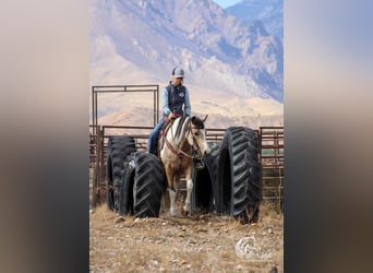 Pintos, Mare, 4 years, 13,3 hh, Buckskin