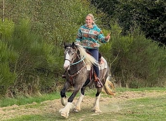 Pintos, Yegua, 4 años, 147 cm, Pío