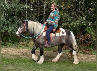 Pintos, Yegua, 4 años, 147 cm, Pío