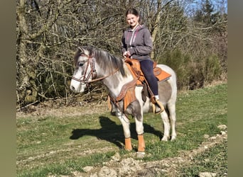 Pintos, Yegua, 6 años, 136 cm, Pío