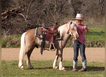 Plus de poneys/petits chevaux, Hongre, 5 Ans, 91 cm, Palomino