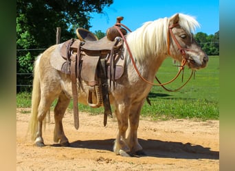 Plus de poneys/petits chevaux, Hongre, 9 Ans, 94 cm