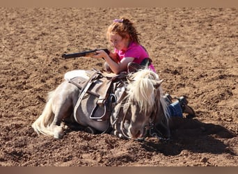 Plus de poneys/petits chevaux, Hongre, 11 Ans, 89 cm