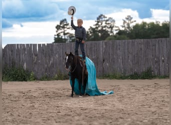 Plus de poneys/petits chevaux, Jument, 12 Ans, 122 cm, Noir