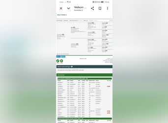 PNR, Yegua, 4 años, 167 cm, Palomino