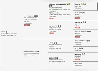 Polski koń sportowy, Klacz, 1 Rok, 170 cm, Srokata