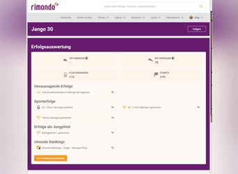 Poney de selle allemand, Hongre, 13 Ans, 149 cm, Alezan