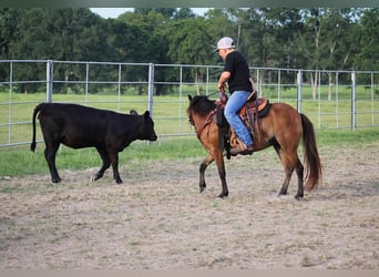 Poneys Shetland, Hongre, 10 Ans, 117 cm, Bai cerise