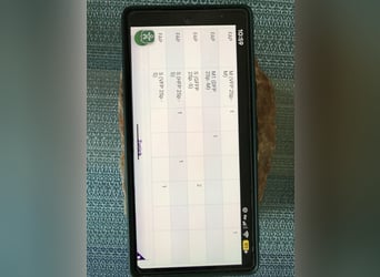 Poni alemán, Caballo castrado, 10 años, 155 cm, Musgo marrón