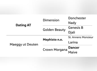 Poni alemán, Yegua, 7 años, 142 cm, Palomino