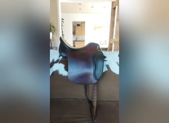 Pony belga, Caballo castrado, 14 años, 141 cm, Pío