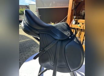 Pony Belga, Giumenta, 12 Anni, 143 cm, Baio