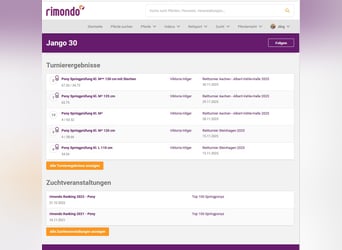 Pony tedesco, Castrone, 13 Anni, 149 cm, Sauro