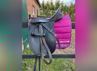 Pony tedesco, Giumenta, 19 Anni, 138 cm, Morello