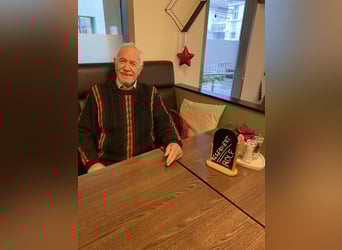 Pony tedesco, Stallone, 1 Anno, 148 cm, Pelle di daino