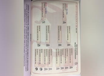 PRE Mix, Hengst, 9 Jaar, 162 cm, Bruin