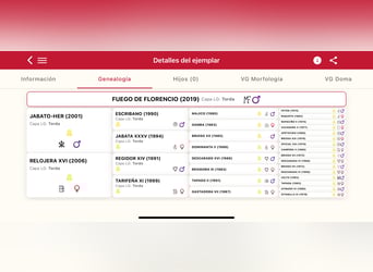 PRE Croisé, Hongre, 6 Ans, 177 cm, Gris