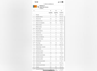 PRE Mix, Klacz, 13 lat, 169 cm, Gniada