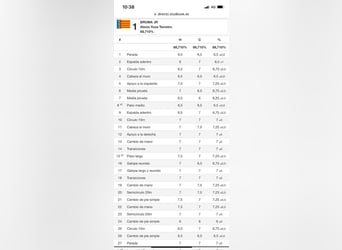 PRE Mix, Klacz, 13 lat, 169 cm, Gniada