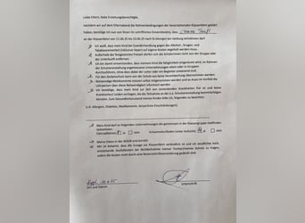 PRE, Klacz, 4 lat, 161 cm, Gniada