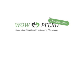 PRE, Merrie, 10 Jaar, 161 cm, Schimmel