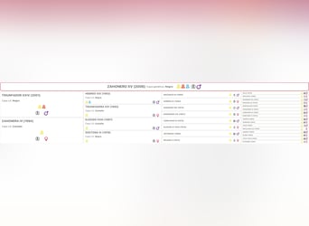 PRE, Semental, 20 años, 165 cm, Negro