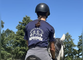 PRE, Wallach, 6 Jahre, 167 cm, Perlino