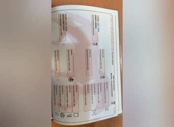 PRE, Yegua, 7 años, 160 cm, Tordo