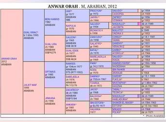 Pur-sang arabe, Jument, 14 Ans, 154 cm, Alezan