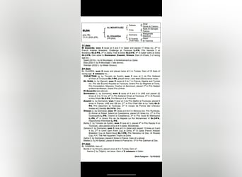 Pura Raza Árabe, Yegua, 3 años, Tordo