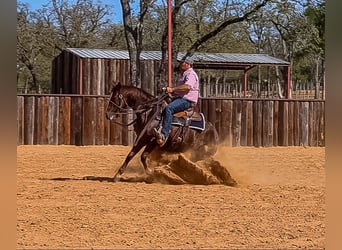Quarter horse américain, Jument, 4 Ans, 145 cm, Alezan cuivré