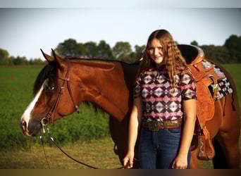 Quarter horse américain, Jument, 5 Ans, 155 cm, Bai cerise