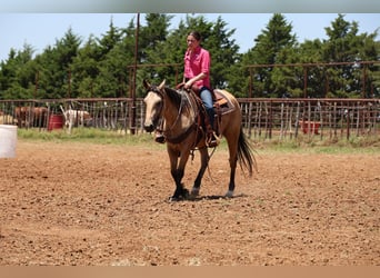 Quarter horse américain, Jument, 6 Ans, 152 cm, Buckskin