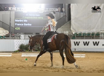 Quarter horse américain, Jument, 7 Ans, 160 cm, Alezan brûlé