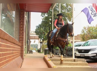 Quarter horse américain, Jument, 8 Ans, 147 cm, Bai cerise