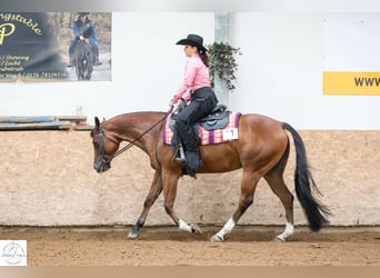 Quarter horse américain, Jument, 8 Ans, 155 cm, Bai
