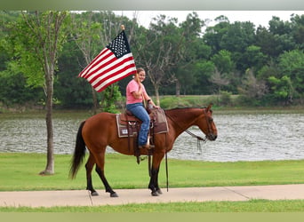 Quarter horse américain, Jument, 9 Ans, 142 cm, Bai cerise