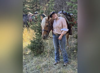 Quarter horse américain, Jument, 9 Ans, 150 cm, Palomino