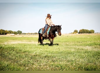 Quarter Pony Blandning, Stute, 7 Jahre, 135 cm, Dunkelbrauner