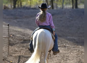 Quarter-ponny, Valack, 10 år, 140 cm, Pinto