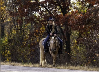 Quarter Pony, Castrone, 13 Anni, 122 cm, Palomino