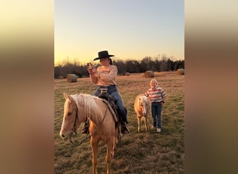 Quarter Pony, Giumenta, 4 Anni, 142 cm, Palomino
