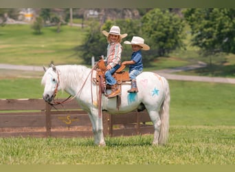 Quarter pony Croisé, Hongre, 7 Ans, 119 cm, Gris