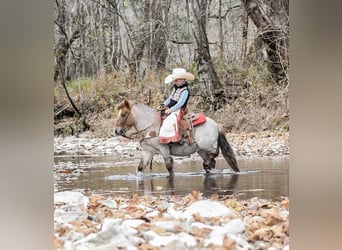 Quarter pony, Hongre, 7 Ans, 99 cm, Rouan Rouge