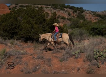 Quarter pony, Jument, 11 Ans, 132 cm, Buckskin