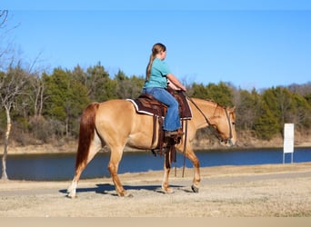 Quarter Pony, Klacz, 8 lat, 132 cm, Bułana