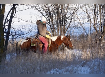 Quarter Pony Mix, Klacz, 8 lat, 132 cm