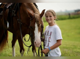 Quarter Pony, Mare, 10 years, 13.2 hh, Sorrel