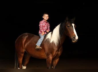Quarter Pony, Mare, 12 years, 13.2 hh